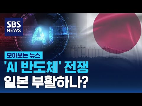 TSMC와 손잡은 일본, ‘반도체 강국’ 부활 노린다...위기의 한국 반도체 / SBS / 모아보는뉴스