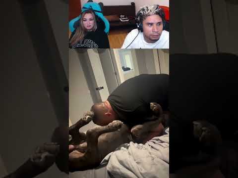 🇲🇽MEXICANO JUGABA CON SU PERRO Y LO PAGA CARO😮😬😬🐶