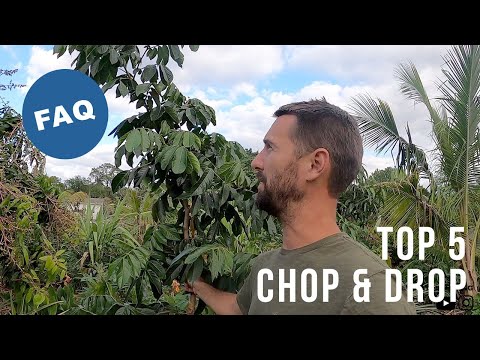 FAQ: Top 5 Chop & Drop Species?