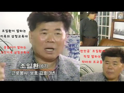 천안곰 조일환,안토니파 안상민,용팔이 김용남 싸움부터 삼청교육대까지