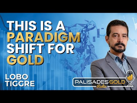 Lobo Tiggre: 'Very Bullish' On Gold & Silver and Why Oil is Not 'Stupid Cheap' Yet