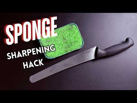 The $1 Sponge Trick That Will Transform Your Dull Bread Knife