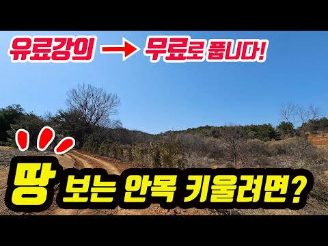 (꿀팁)땅보는 안목! 유료강의 무료로~ 내 땅 토지 시세와 가치를 셀프로 아는 방법 임야투자 토지투자 토지개발에 필수 강의