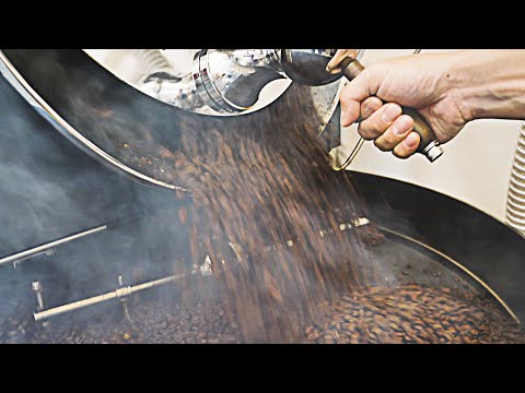 Let's Explore Every Coffee In The World