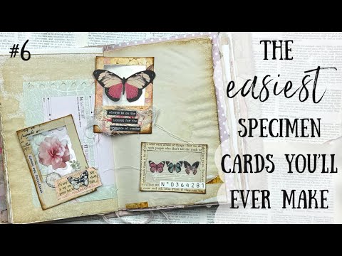 The EASIEST Specimen Cards to make TUTORIAL | My Big Fat Pink Journal No6 🩷🌸