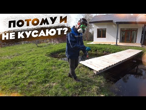 There are no more mosquitoes on the site! How and with what did you treat them?