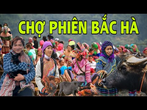 CHỢ PHIÊN BẮC HÀ - LÀO CAI 2024 . CHỢ PHIÊN LỚN NHẤT NHÌ TÂY BẮC , Sapa Vietnam food market