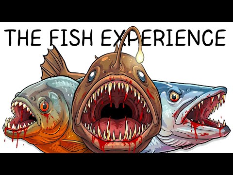 Why it Sucks To Be Born As a Fish