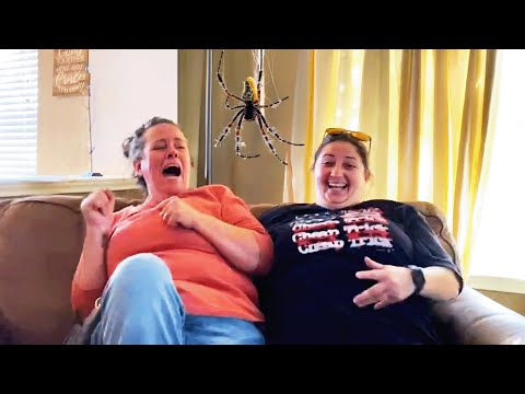 Funniest Pranks That Went WRONG😂