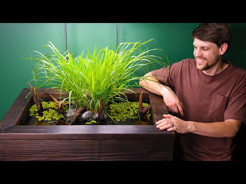 DIY Hydroponic Pond for Mosquitofish