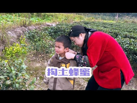 秋子跟着表哥去掏土蜂蜜，带上小七他也很开心，结果他被蜂蜜亲了一下，哭的很伤心