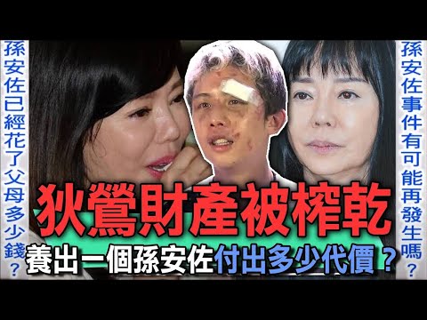 孫安佐榨乾狄鶯財產？養到崩壞的星二代要付出多少代價？【新聞挖挖哇】【新聞挖挖哇】
