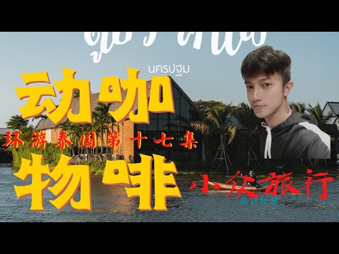 【曼谷动物咖啡园】十几种温驯散养动物 漫步于咖啡园 丛林水岸餐饮亲子活动绝佳去处 情侣约会旅拍邂逅泰国明星 你绝对不能错过的 疯狂动物城 疗愈心灵 安静度假 环游泰国第十七集