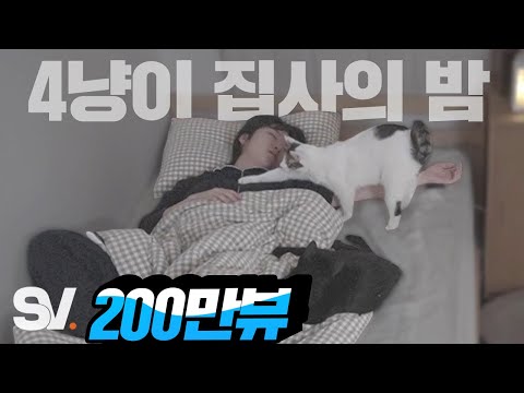 What the cats do when the butler is asleep (feat. night of 4 cats that made the butler cry)