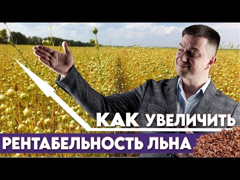 7 шагов для успешного выращивания льна. Простые советы для повышения урожаев.