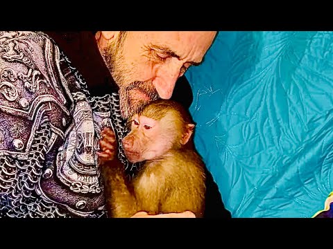 Посмотрите какая Люська УМНАЯ БИБИЗЯНА, если она что-то задумала, то переключить ее внимание НЕЛЬЗЯ