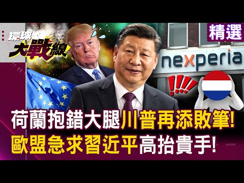 Netherlands Picks the Wrong Side: “Another Blunder for Trump”!?