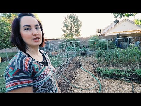 the ONE ACRE micro Farm | Anyone Could Do | Feat. Weed em and Reap