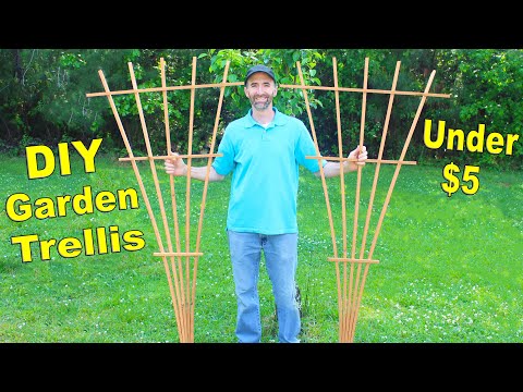 How to Make a 6FT Garden Trellis with 1 Board | Simple DIY Fan Trellis