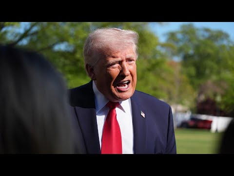 ‘You don’t know anything’: Donald Trump humiliates ‘fake news’ reporter