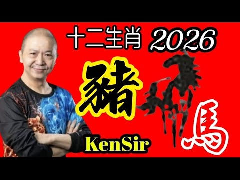 🐷㊙️🦄💖【馬年十二生肖】｜2026年｜生肖豬｜運程｜#電話號碼昇運 #八字 #十二生肖 