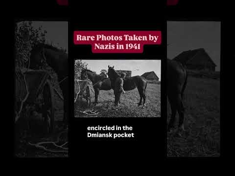 What They Really Saw in 1941