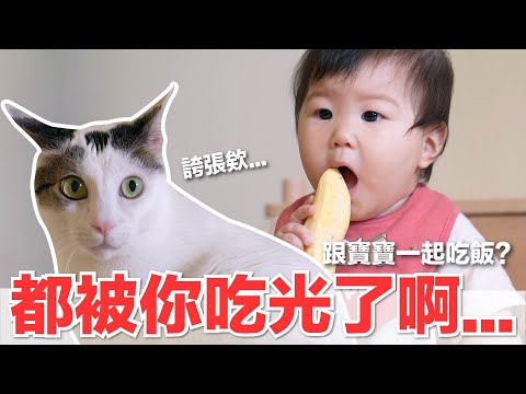 【好味小姐】都被你吃光了啊...跟寶寶一起吃飯？｜好味貓日常221
