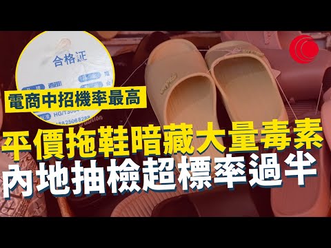 一線搜查｜平價拖鞋暗藏大量毒素 內地抽檢超標率過半 越平越毒滲透皮膚？電商平台中招機率最高｜828集｜有線新聞 黎美萱｜ #一線搜查｜HOYTV 77台