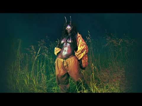 SZA - Chill Baby (Official Audio)