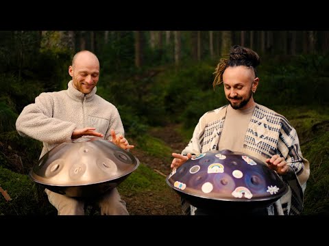 Wisdom of the Earth (1111 Hz) | 1 hour handpan music | Malte Marten &amp; Warren Shanti