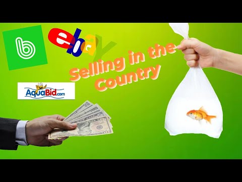 "Mastering Fish Sales: A Complete Guide to Selling Your Fish Remotely"