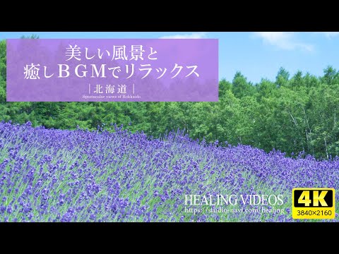 [Healing] Spectacular views of Japan! "Hokkaido" Vast land, nature, and gentle piano BGM