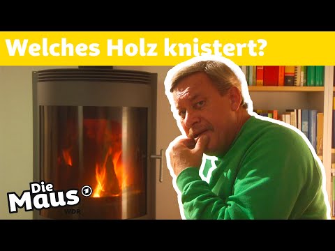 Wieso knistert Holz im Kamin? | Die Maus | WDR