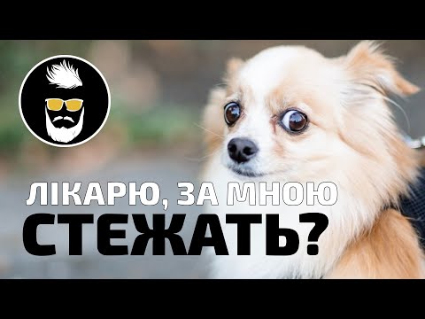 Як працює OSINT та стеження за людьми в інтернеті. Як про людину можна дізнатися ВСЕ?