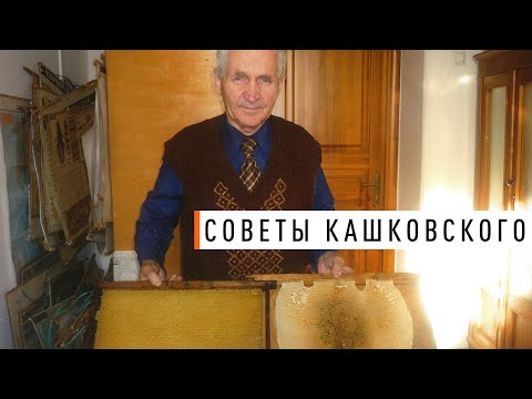 Советы Кашковского
