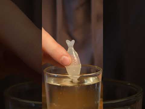 making a miniature terrarium in a soy sauce bottle