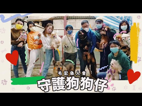 偽人嗰個眼濕濕？DICKSON執屎初體驗？！利君牙同狗仔賽跑險斷手！30/1《毛記演偽人協會》第6集 - 守護狗狗仔