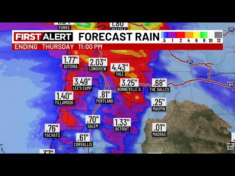 First Alert: Katie Zuniga talks about heavy rain and gusty winds expected over the next 3 days