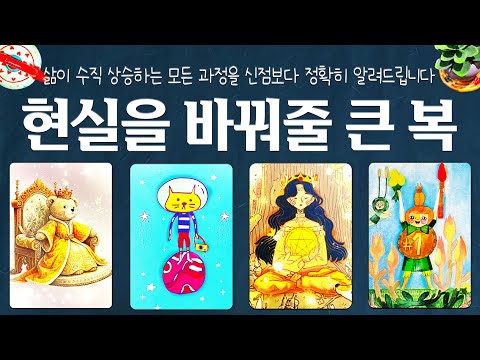 [타로]🌟신점보다 잘 맞는 예언🔮현실을 바꿔줄 큰 복💰삶이 수직 상승하는 모든 과정을 자세히 알려드립니다🚀