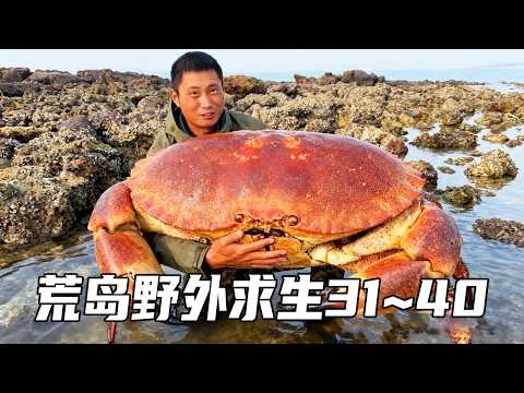 带美女无人荒岛野外求生(31~40):荒岛庇护所修建上下铺,突遇刮台风还降暴雨,美女队友做蓑衣好暖心【户外平头哥】