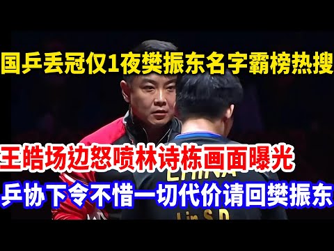 丢冠夜的热搜反转：国乒无人进决赛，樊振东凭什么刷屏？王皓怒批林诗栋细节曝光
