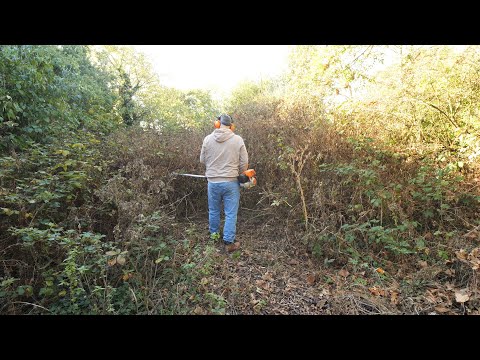 This Overgrown Garden Hid a Secret… and a Mum’s Last Hope