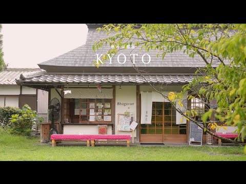 【京都vlog】まだあまり知られていない緑が美しいお店｜京都観光・カフェ巡り