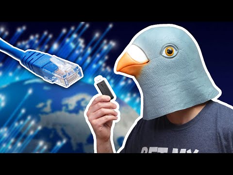 A homing pigeon is faster than my fiber Internet