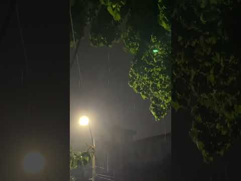 rain day relaxing  #relax #rainoundforsleep #rain #rainsounds