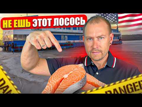 Избегайте Лосось из Американских супермаркетов! Правда которую от вас скрывют!