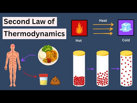 No ONE Explained 2nd Law of Thermodynamics Like This EVER Before!