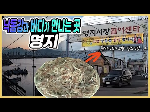 바다와 낙동강이 만나는 곳 명지 / 명지시장 / 활어전문시장 /명지 전어회 / 명지포구 / 전어축제 / 활전어회의 고향 명지 / 부산시장 [그곳,그사람]