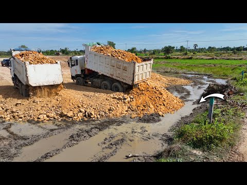 Nicely BIG Trucks Work Fasting With D65PX Bulldozer Pushing Land Connected