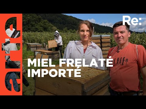 Europe : haro sur le faux miel importé ! | ARTE Regards